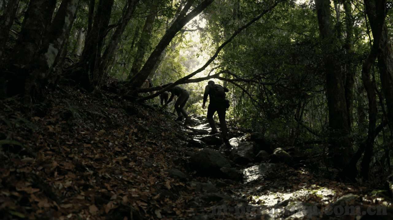 德州扑克跟注规则-德州扑克，跟注策略的艺术与智慧